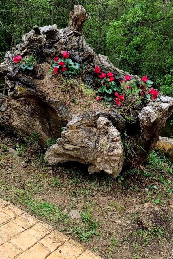 Haraneko Errota Διαμέρισμα Aranguren  Εξωτερικό φωτογραφία
