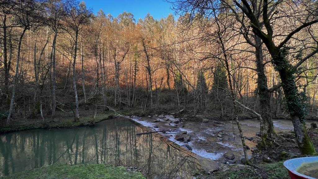Haraneko Errota Διαμέρισμα Aranguren  Εξωτερικό φωτογραφία